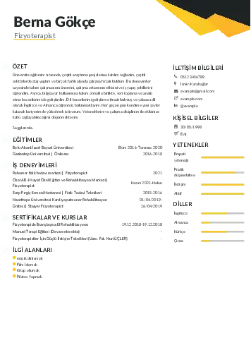 Fizyoterapist Cv Örnekleri cv indir